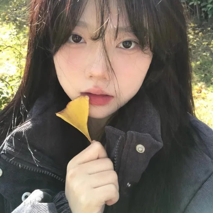 Break Up (1998年电影)