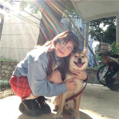 数码宝贝大冒险 重启