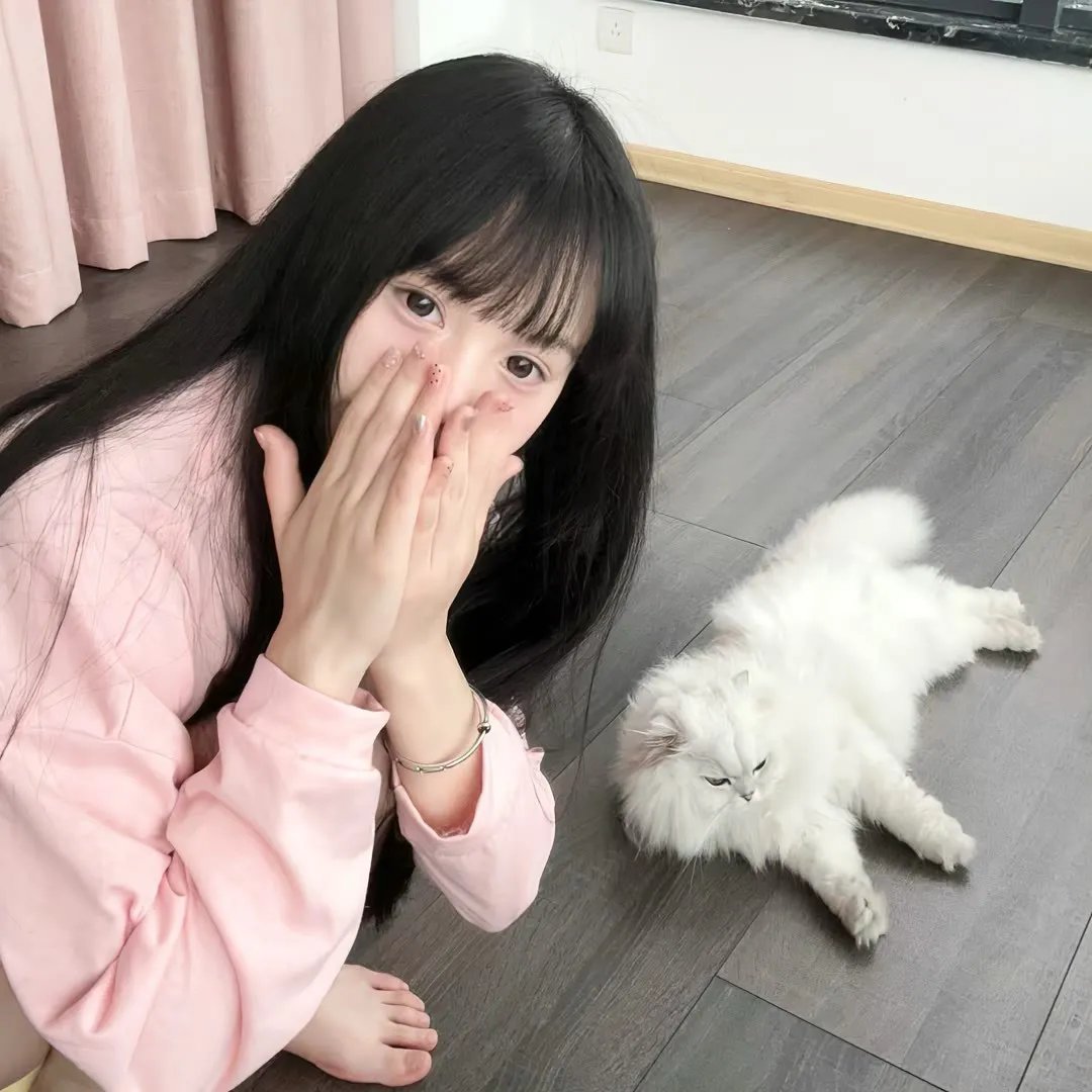 凸坊新画帖 名案的失败